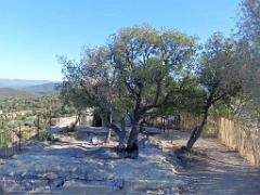 183 HYERES ET SES PALMIERS D03_000046